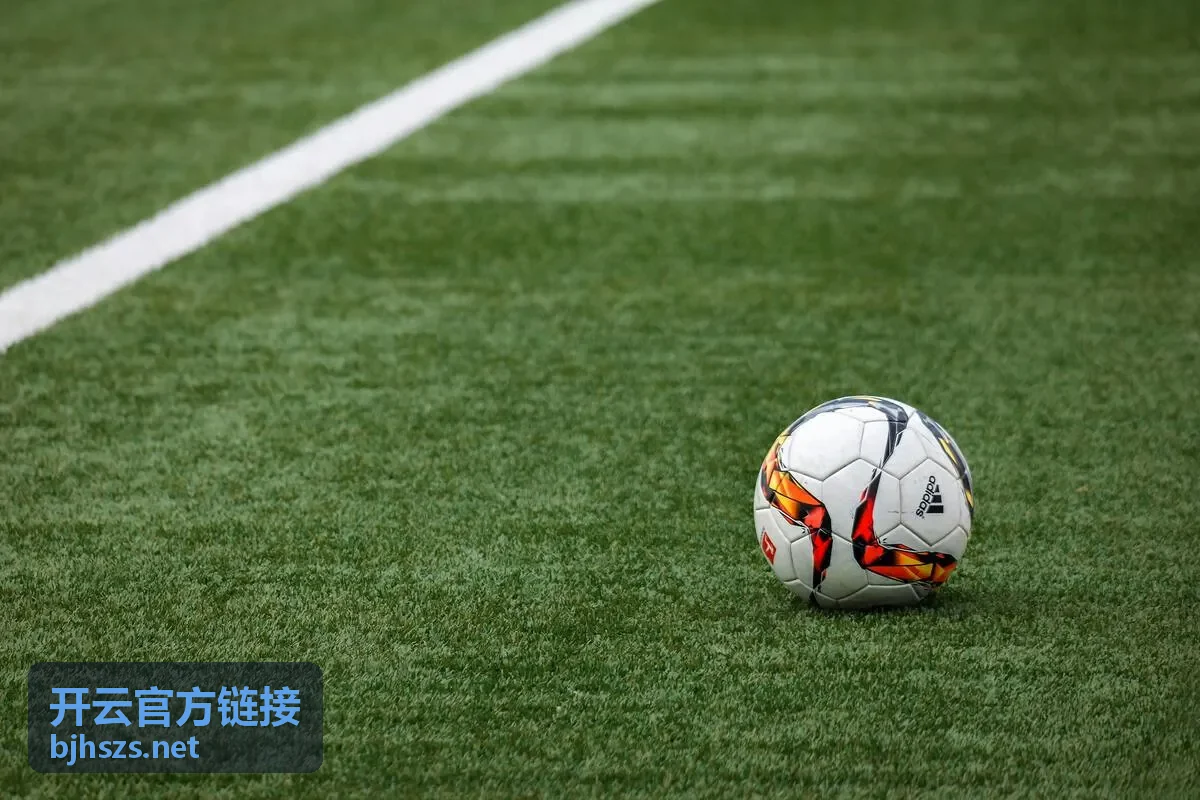 开云官方链接访问排查示意